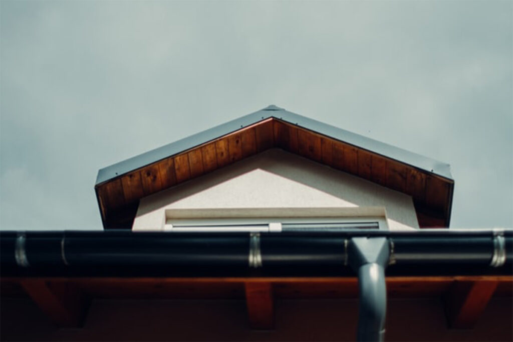 roof cleaning